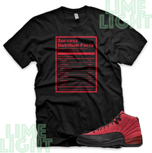 Load image into Gallery viewer, Jordan 12 Reverse Flu Game "Success Facts" Air Jordan 12 Sneaker Match Shirt