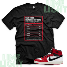 Load image into Gallery viewer, Air Jordan 1 KO Chicago "Success Facts" Nike AJ1 Chicago Sneaker Match Shirt Tee
