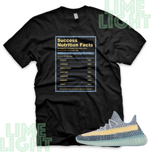 Yeezy 350 Ash Blue "Success Facts" Yeezy Boost 350 Ash Blue Sneaker Match Shirt
