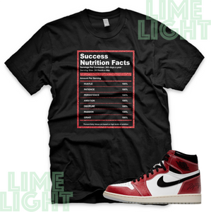 Air Jordan 1 Trophy Room "Success Facts" Nike Air Jordan 1 Sneaker Match Shirt